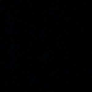 Meet your Posher, Castine